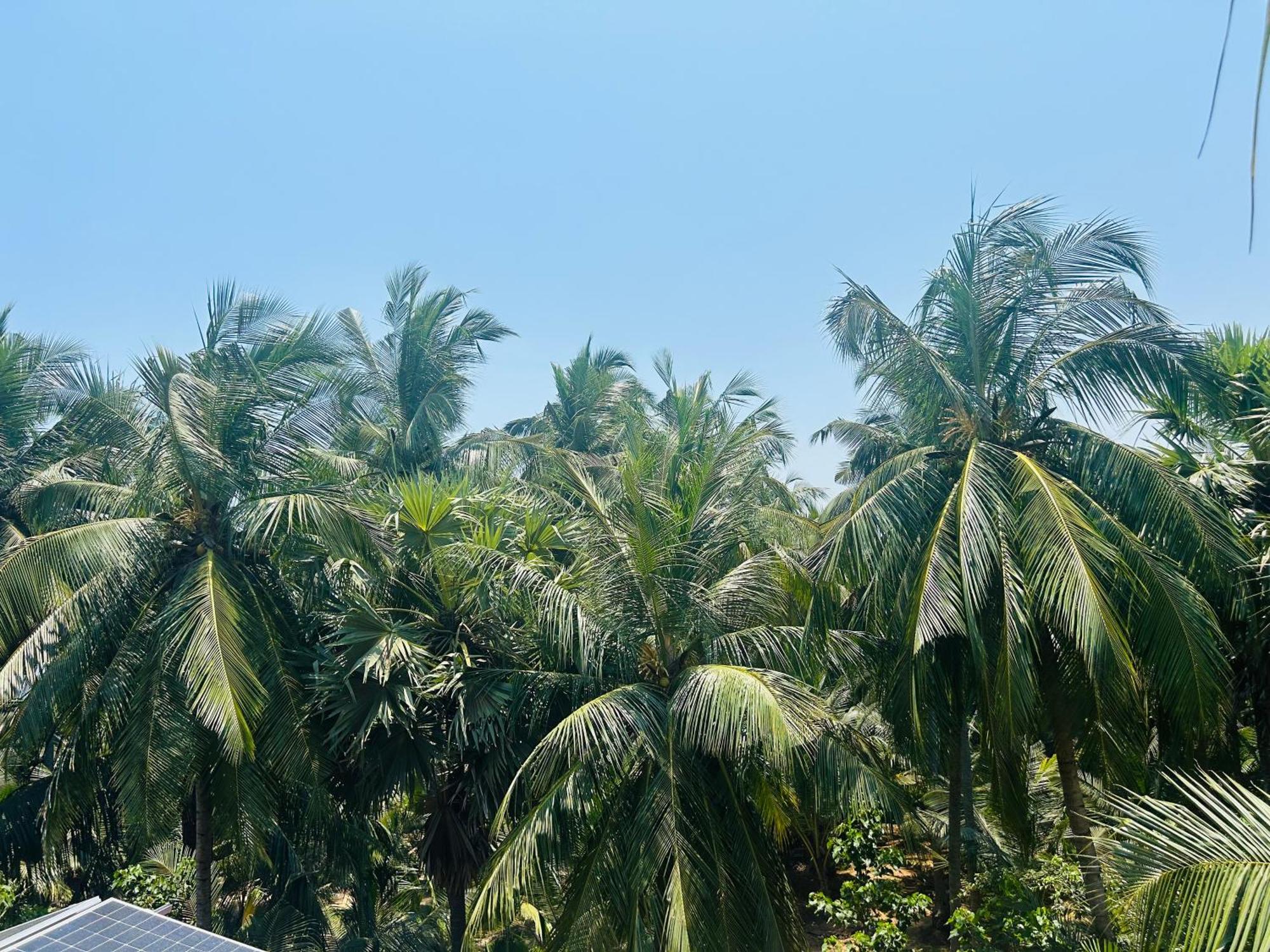Pearl Bungalow Trincomalee Exterior foto