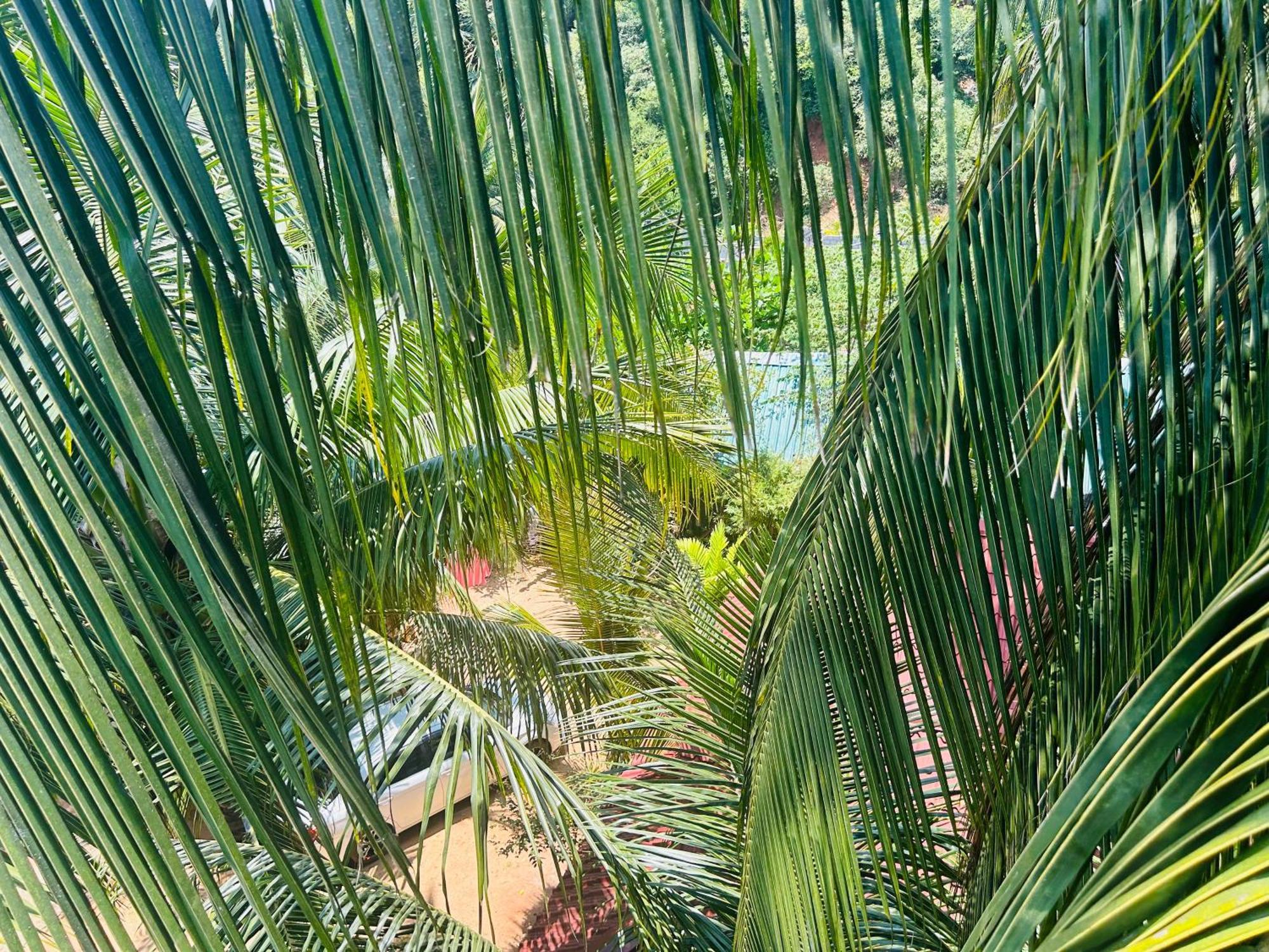 Pearl Bungalow Trincomalee Exterior foto